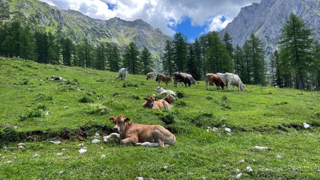 Landträume - Von Windischgarsten zur Wurzeralm