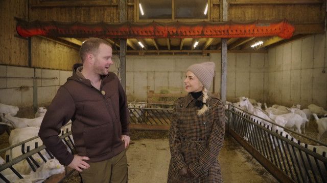 Silvia kocht: Unterwegs in der Buckligen Welt