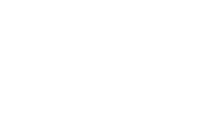 Fakt oder Fake