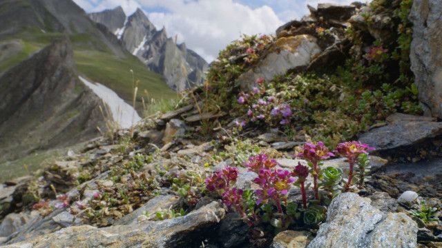 Universum: Südtirol - Das Land in der Mitte
