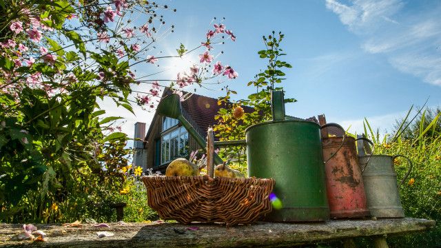 Wunderwelt Garten (1/2): Die heimliche Wildnis