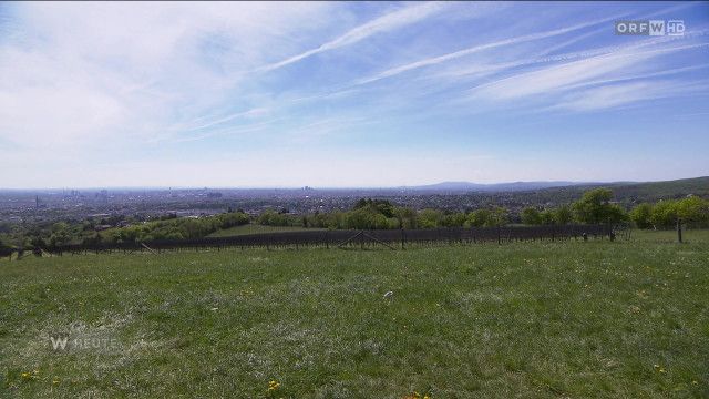 Wien heute vom 26.04.2026
