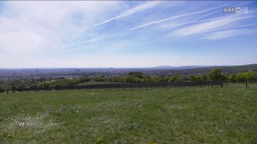 Wien heute Wien heute Folge 1100: Wien heute vom 26.04.2026