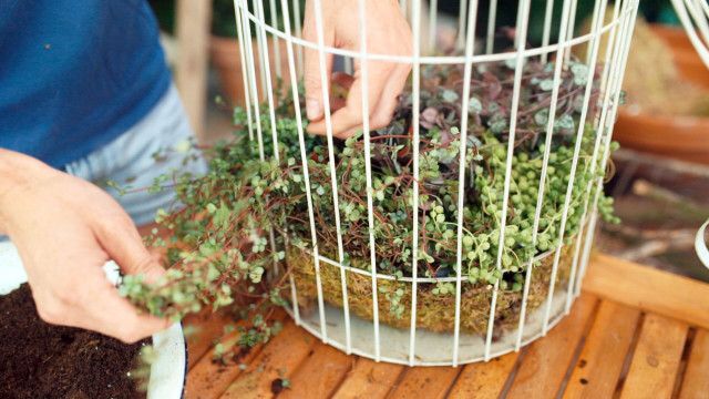 GartenKULT: Der Kreativgarten