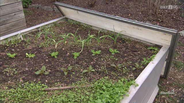 Studio 2 vom 24.03.2026