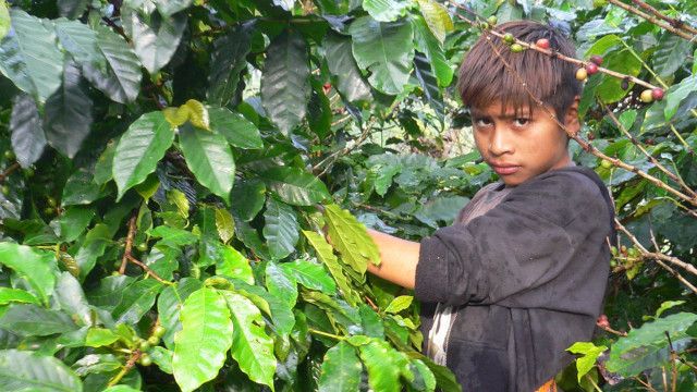 Hilfe unter gutem Stern: Für Gerechtigkeit in Guatemala