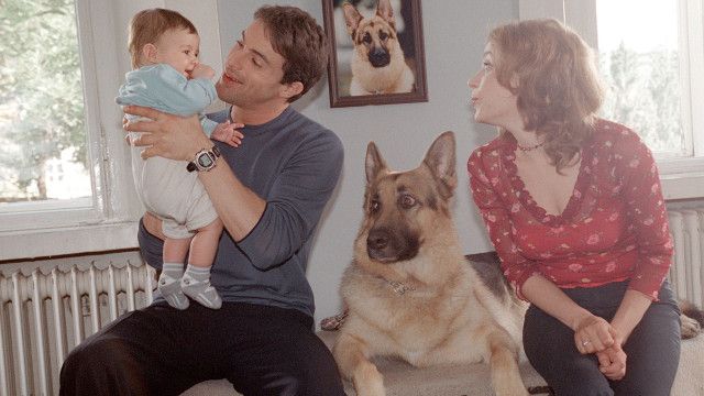 Kult-Serie "Kommissar Rex" (6/15): Die Babydealer