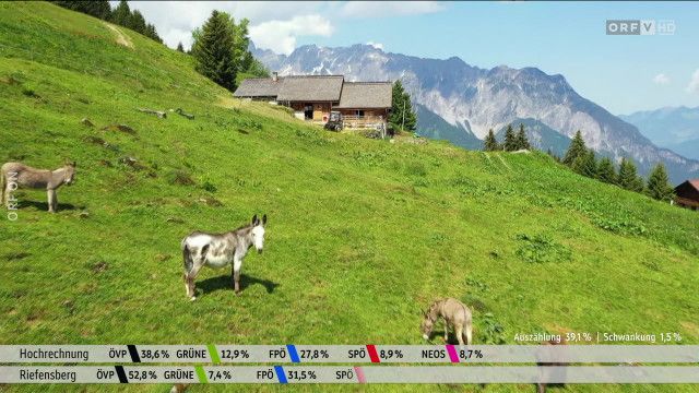 Die bunte Nutztierwelt in Vorarlberg