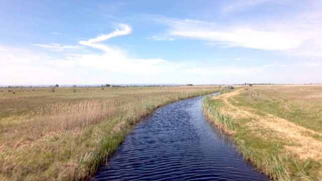 Rund um den Neusiedler See