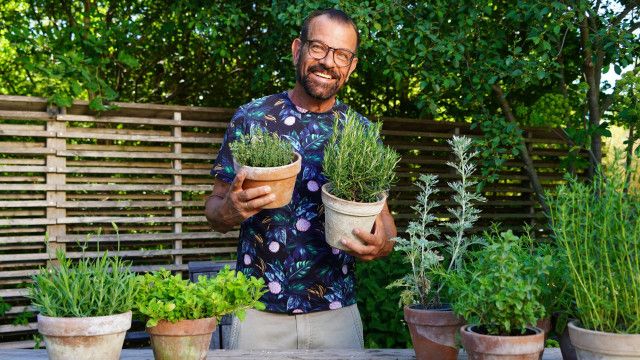 Natur im Garten vom 21.06.2026