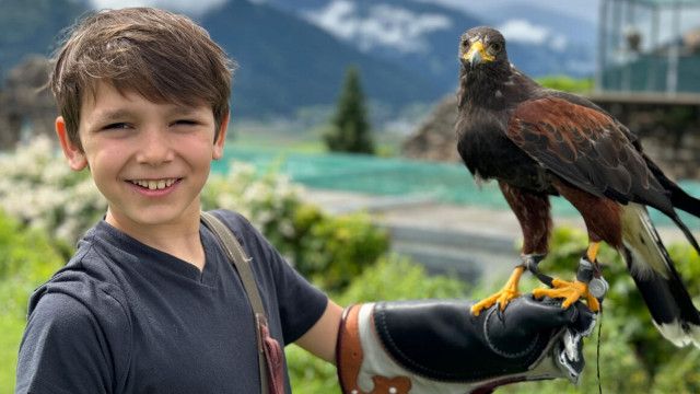 Die Abenteuerchecker: Adler