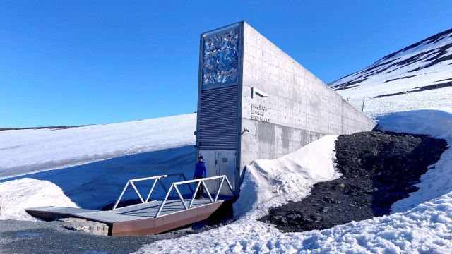 Österreich-Bild: Der Schatz im Eis - Ein Stück Heimat im Land der Eisbären