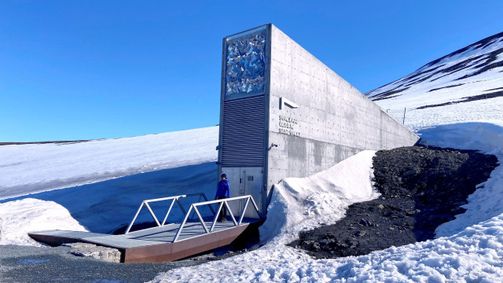 Österreich-Bild Österreich-Bild Folge 157: Österreich-Bild: Der Schatz im Eis - Ein Stück Heimat im Land der Eisbären