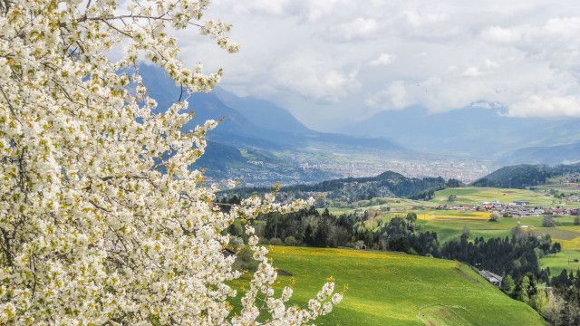 Magische Ostern: Zwischen Gletschereis und Kirschblüten im Sellraintal
