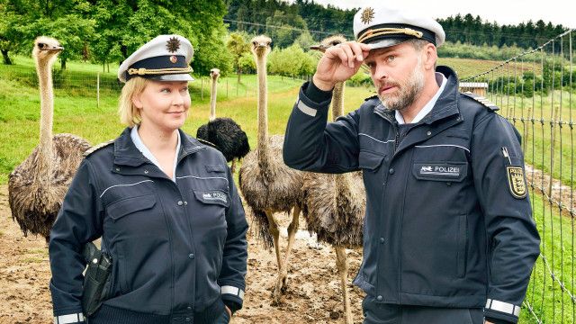 WaPo Bodensee (2/8): Straußenjagd