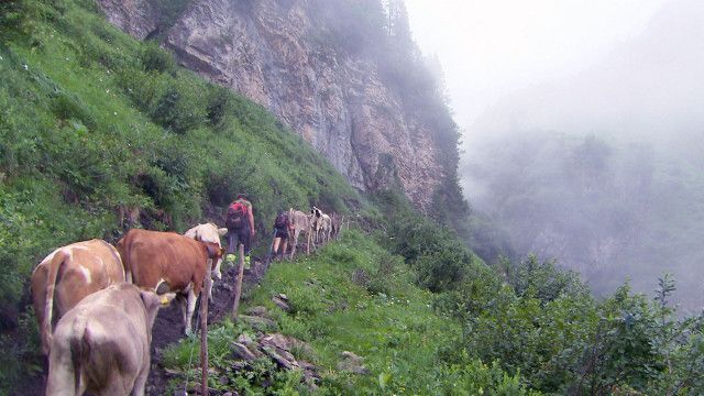 Erlebnis Österreich: Klimawandel in Vorarlberg - Halb so schlimm oder doch gefährlich?