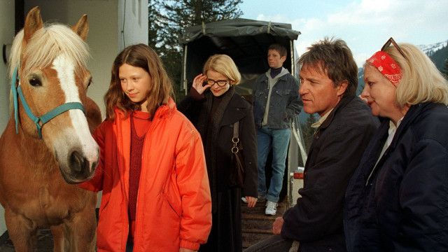 Die Knickerbocker-Bande: Spuk am Sternenhof