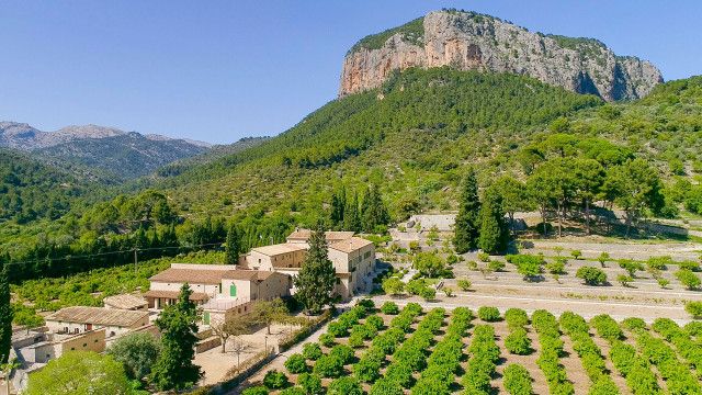 Auf Entdeckungsreise mit Karl Ploberger: Traumgärten auf Mallorca