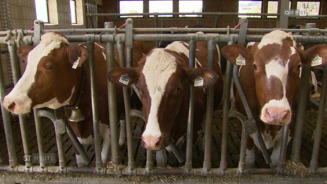 Südtirol Heute vom 15.04.2026