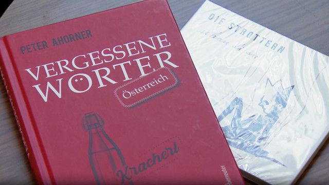 Sog amoi: Von damischen Tschentschn und wompaten Batschis - Dem österreischischen Dialekt auf der Spur