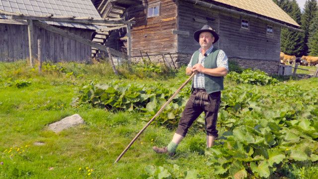 Almgeschichten aus Niederösterreich