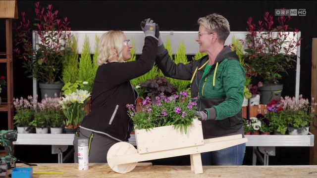 Heimwerken mit Astrid