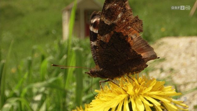 Studio 2 vom 15.04.2026