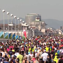 Das war der Wien-Marathon 2026