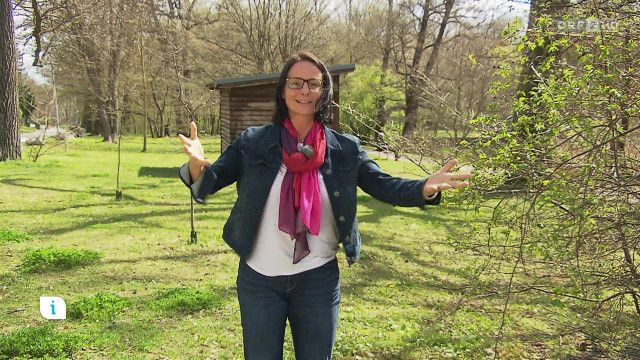 Infos & Tipps: Frühjahrsmüdigkeit