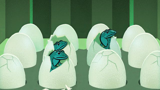 Taylors Welt der Tiere: Ei, wo steckst du?