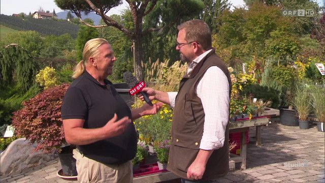 Studio 2 vom 02.10.2026