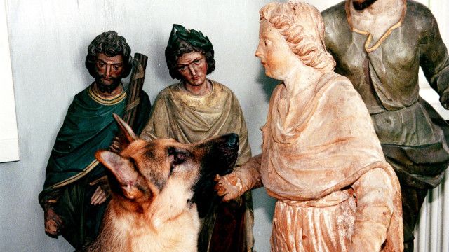Kult-Serie "Kommissar Rex" (5/15): Das Testament