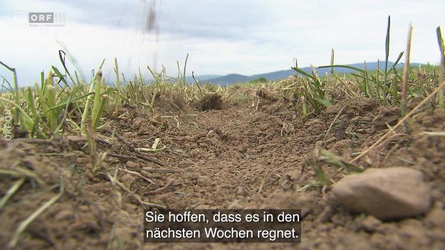 Nachrichten in Einfacher Sprache vom 05.05.2026