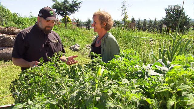 Gartentipp vom 26.06.2026