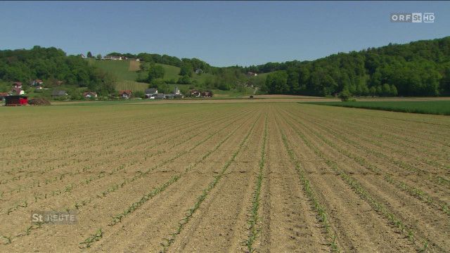 Steiermark heute vom 03.05.2026