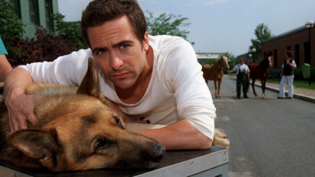 Kult-Serie "Kommissar Rex" (1/15): Attentat auf Rex