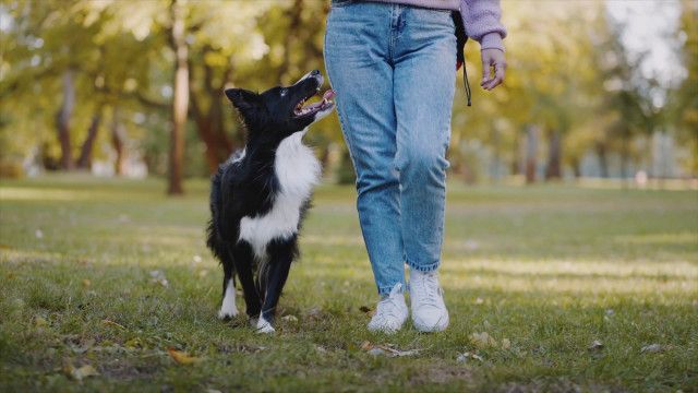 Sport ABC: Buchstabe O