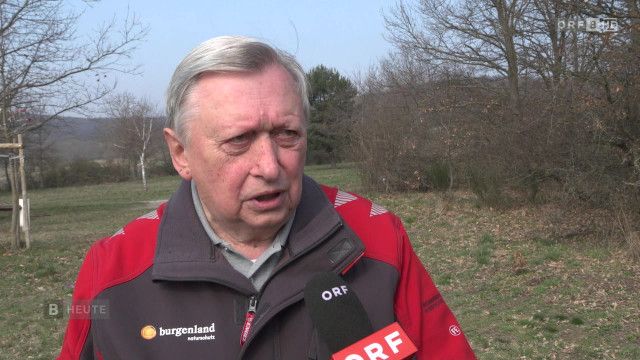 Burgenland heute vom 20.03.2026