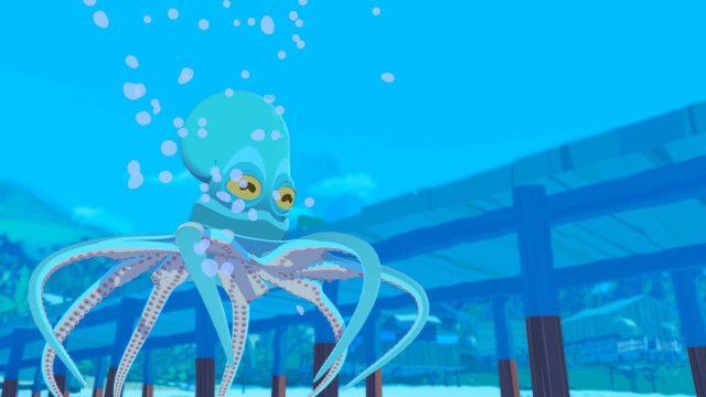 Zoom - Der weiße Delfin: Paco, der Oktopus