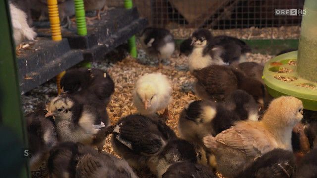 Salzburg heute vom 03.04.2026