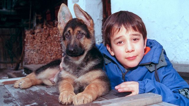 Kommissar Rex: Baby Rex - der kleine Kommissar