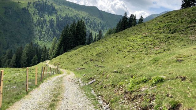Kitzbüheler Almleben