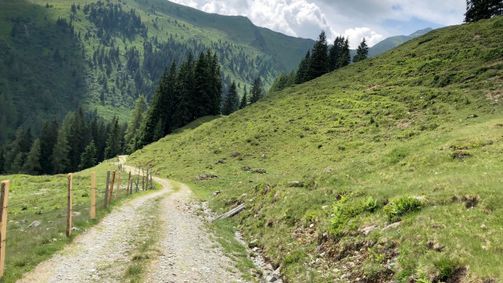 Landleben Landleben Folge 260: Kitzbüheler Almleben