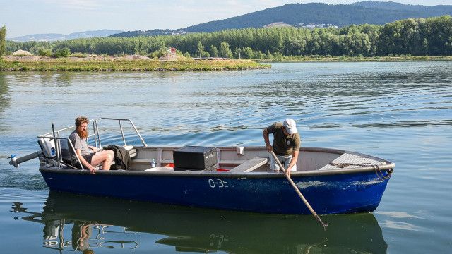 Donaufischer in Oberösterreich