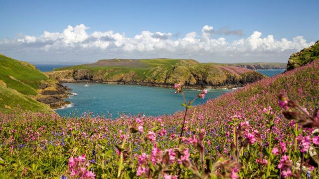 Wales - Britanniens schönste Wildnis