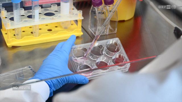 Niederösterreich heute vom 26.03.2026