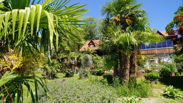 Natur im Garten vom 14.06.2026