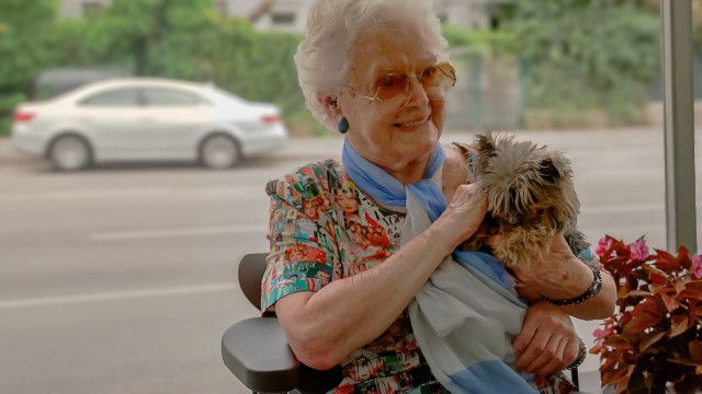 Am Schauplatz: Mein Wille geschehe