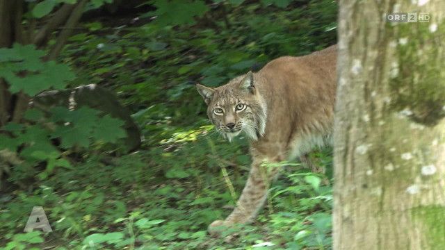 Aktuell nach eins vom 07.04.2026