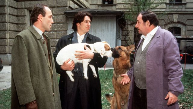 Kult-Serie "Kommissar Rex" (12/15): Tödliche Dosis